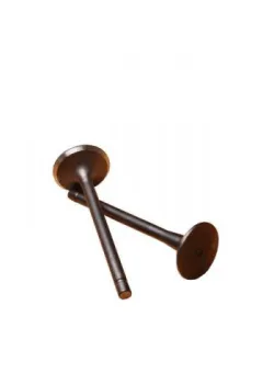 سوپاپ اصلی فیات او ام